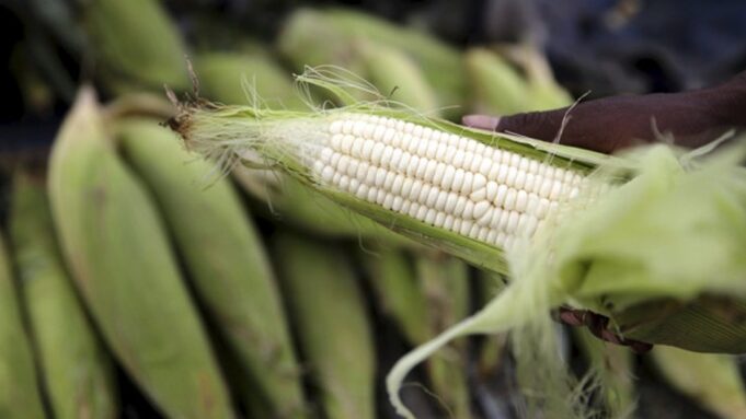 FRA rolls out various interventions to combat food insecurity