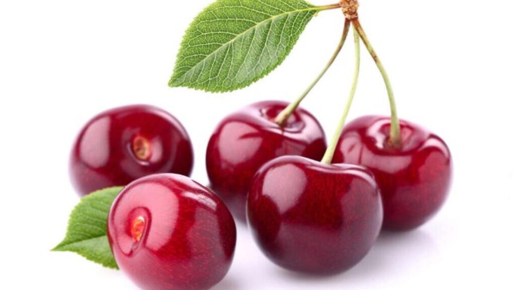Cherry harvest ripens with export potential in tow